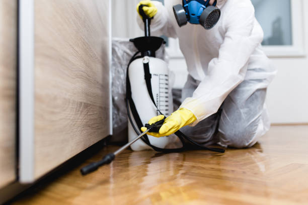 Best Pest Control Near Me  in Poughkeepsie, NY
