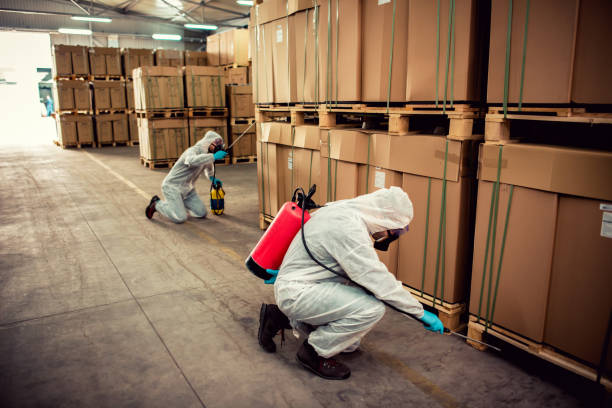 Best Pest Control Near Me  in Poughkeepsie, NY
