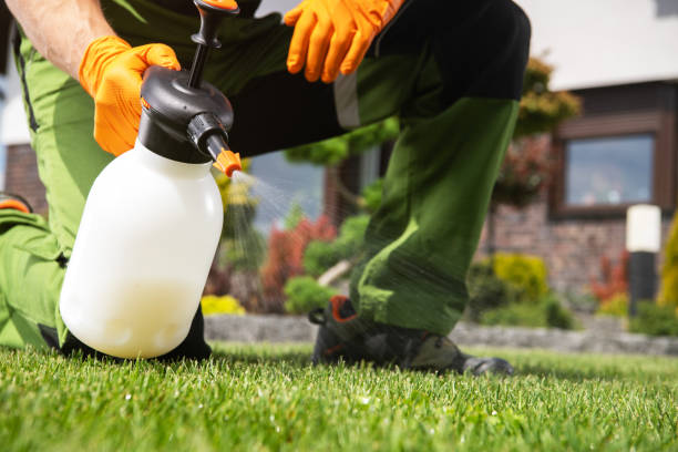 Best Bird Control  in Poughkeepsie, NY