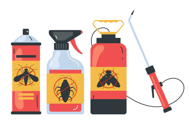 Best Ant Control Services  in Poughkeepsie, NY