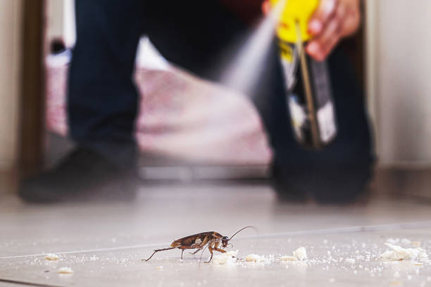 Best Wasp Removal Services  in Poughkeepsie, NY