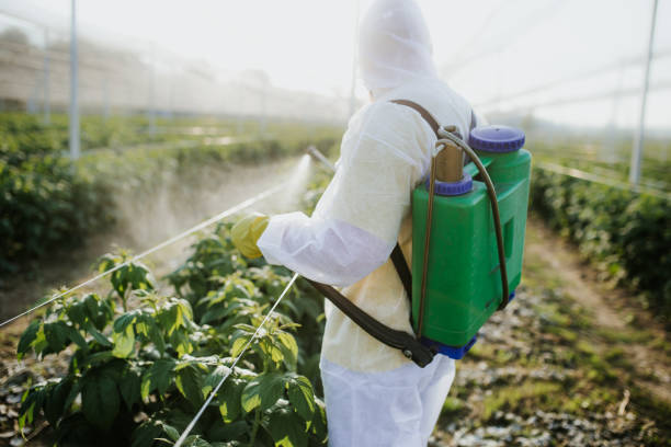 Best Emergency Pest Control  in Poughkeepsie, NY